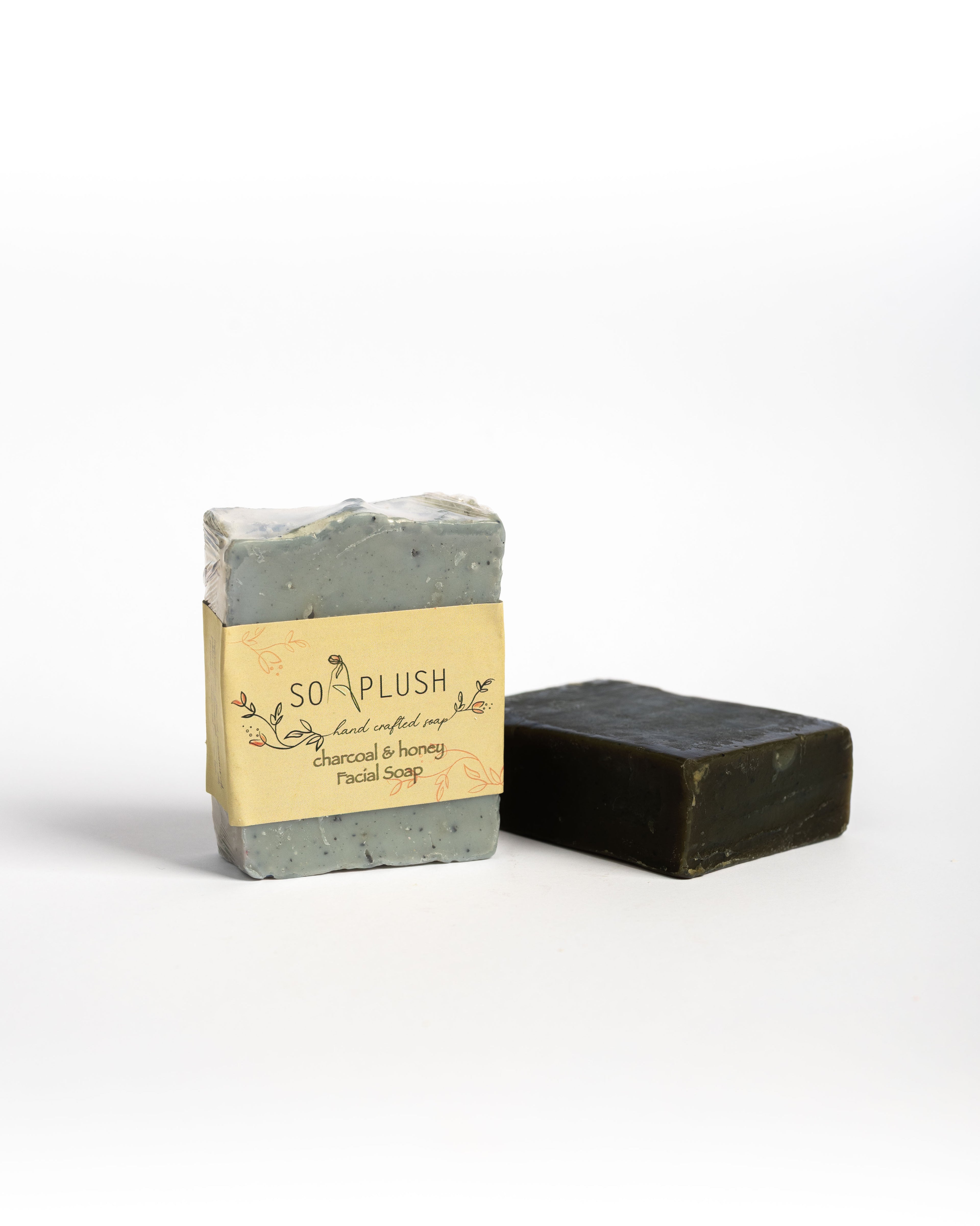 Charcoal and Honey Facial Soap