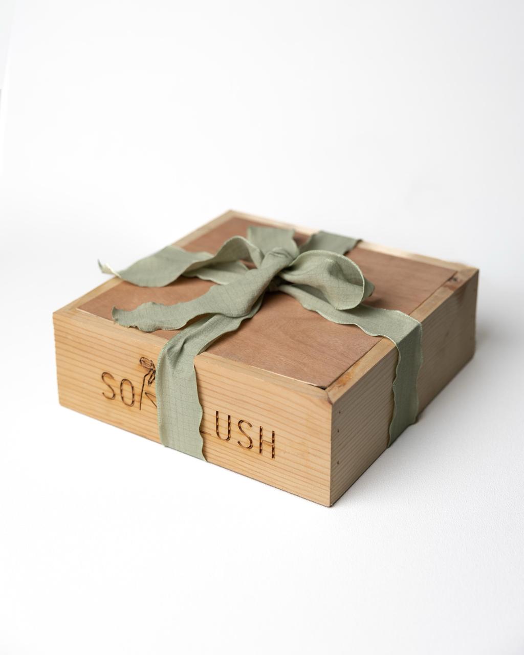 SoapLush Hair Care Kit