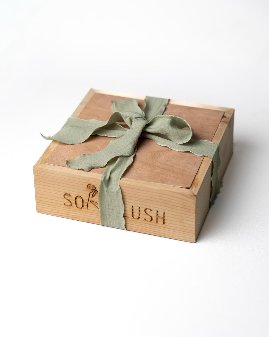 SoapLush Hair Care Kit